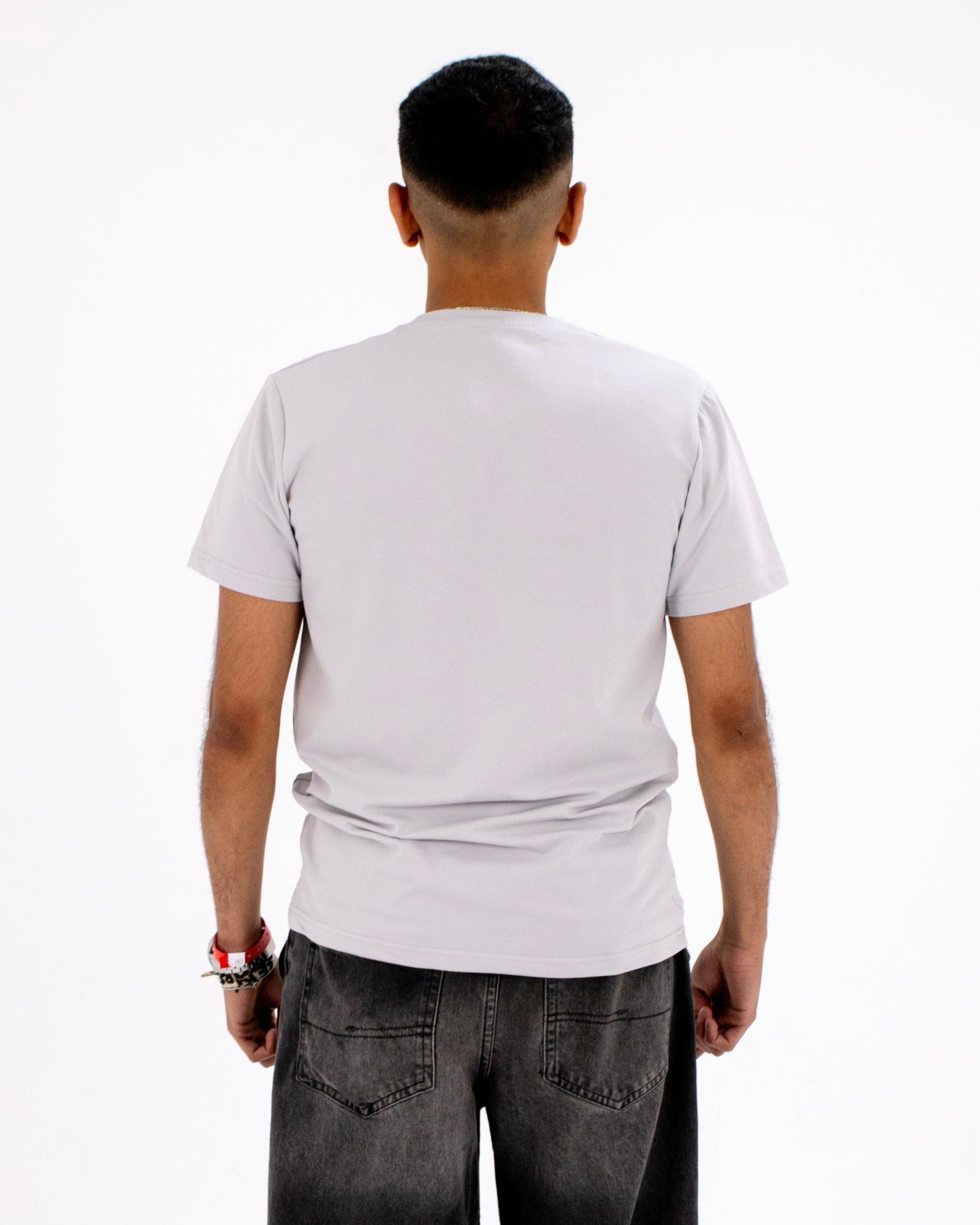 BAZIC grey t-shirt